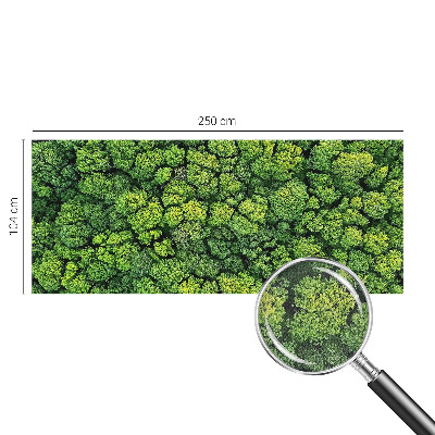 Fotótapéta 3D Erdei panoráma
