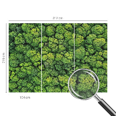 Fotótapéta 3D Erdei panoráma
