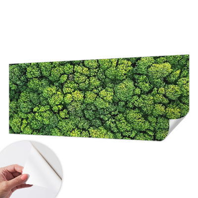 Fotótapéta 3D Erdei panoráma