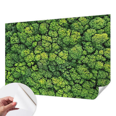 Fotótapéta 3D Erdei panoráma