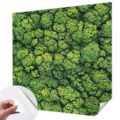 Fotótapéta 3D Erdei panoráma