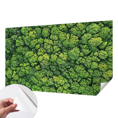 Fotótapéta 3D Erdei panoráma