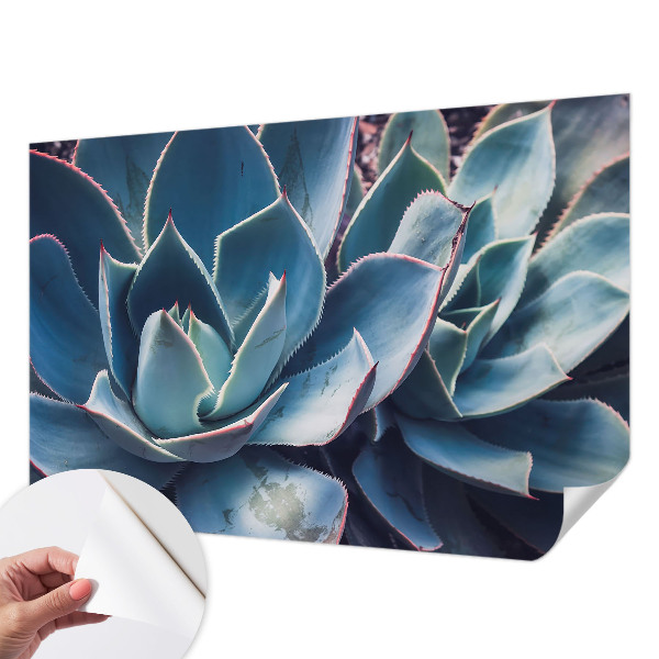 Fotótapéta gyerek Zöld aloe vera