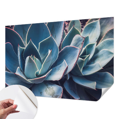 Fotótapéta gyerek Zöld aloe vera