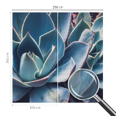 Fotótapéta gyerek Zöld aloe vera
