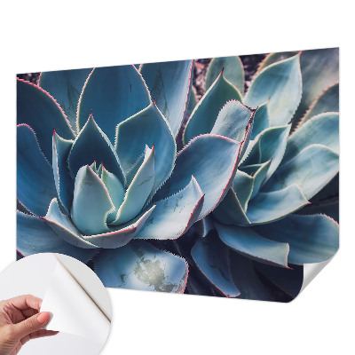 Fotótapéta gyerek Zöld aloe vera