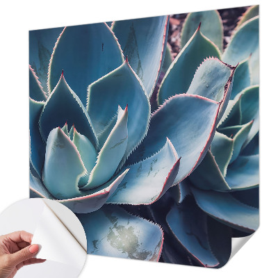 Fotótapéta gyerek Zöld aloe vera