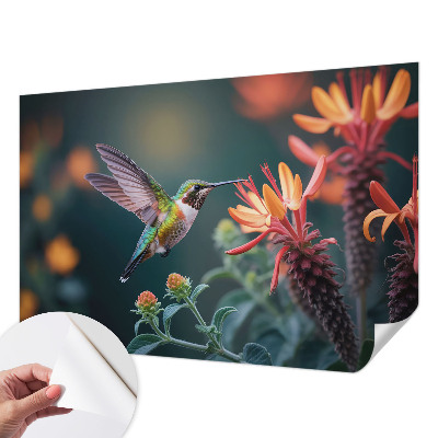Fotótapéta lányoknak Kolibri virágok