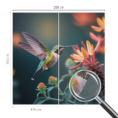 Fotótapéta lányoknak Kolibri virágok