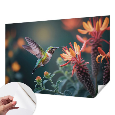Fotótapéta lányoknak Kolibri virágok