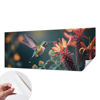 Fotótapéta lányoknak Kolibri virágok