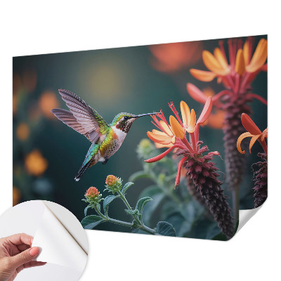 Fotótapéta lányoknak Kolibri virágok