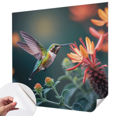 Fotótapéta lányoknak Kolibri virágok