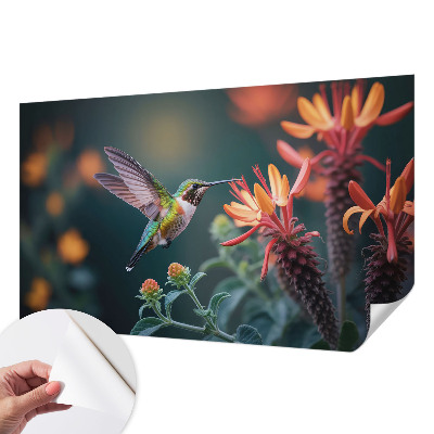 Fotótapéta lányoknak Kolibri virágok