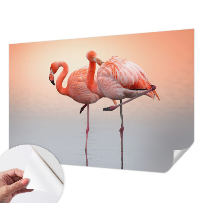 Öntapadós tapéta falra Finom flamingók