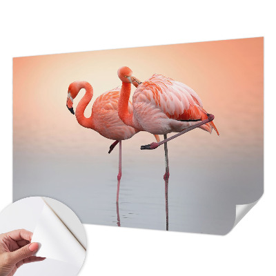 Öntapadós tapéta falra Finom flamingók