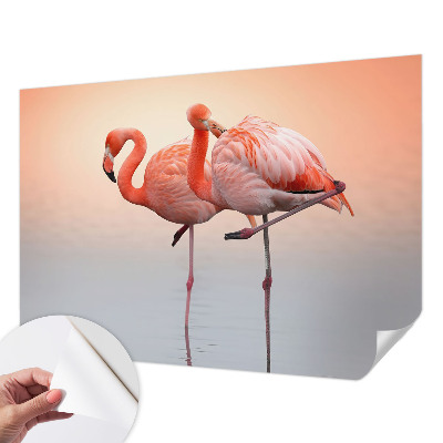 Öntapadós tapéta falra Finom flamingók