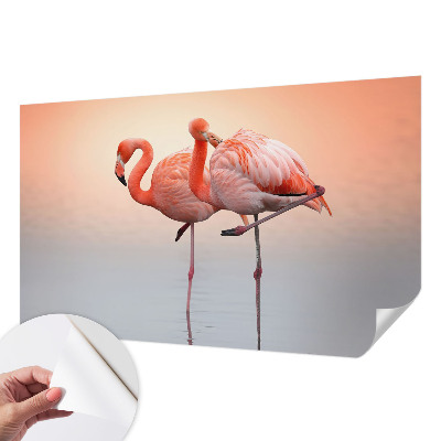 Öntapadós tapéta falra Finom flamingók