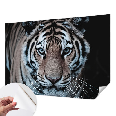 Gyerek fotótapéta Tigris portré