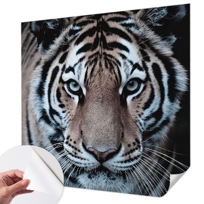 Gyerek fotótapéta Tigris portré