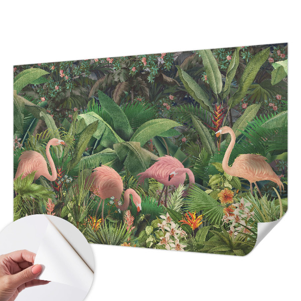 Különleges fotótapéta Rózsaszín flamingók