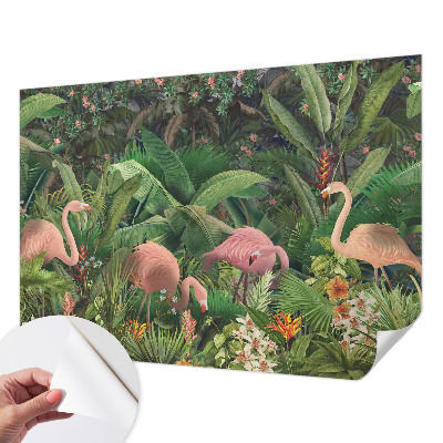 Különleges fotótapéta Rózsaszín flamingók
