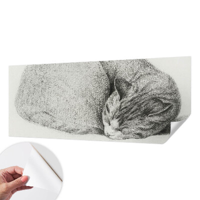 Fotótapéta lányoknak Összegömbölyödött macska