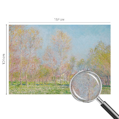 Fotótapéta 3D Tavaszi park