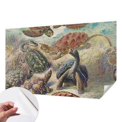 Öntapadós fotótapéta gyerekszobába Teknős fauna