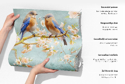 Öntapadó tapéta Nyári gyümölcsök