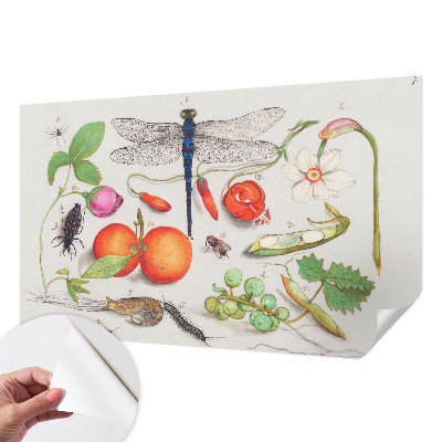 Öntapadó tapéta Természet illusztráció