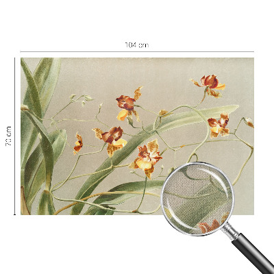 69D fotótapéta Klasszikus orchideák