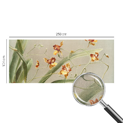 69D fotótapéta Klasszikus orchideák