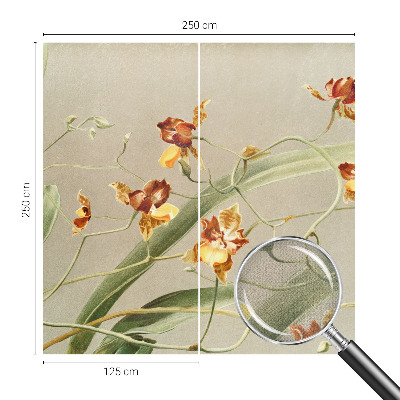 69D fotótapéta Klasszikus orchideák