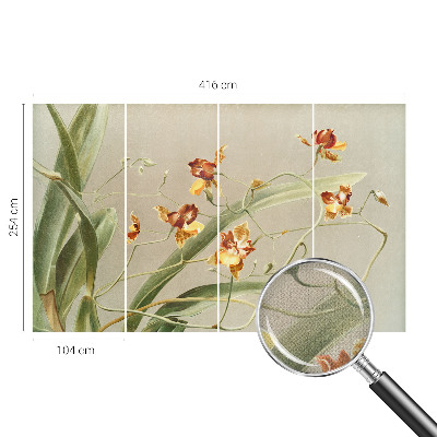 69D fotótapéta Klasszikus orchideák
