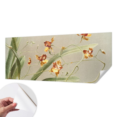69D fotótapéta Klasszikus orchideák