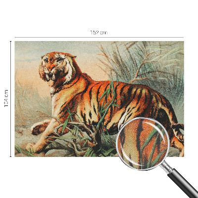 Fotótapéta 3D Tigris természet
