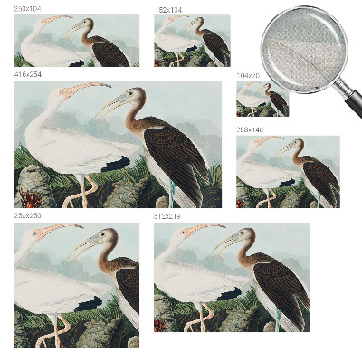 Öntapadós fotótapéta falra Madárpár