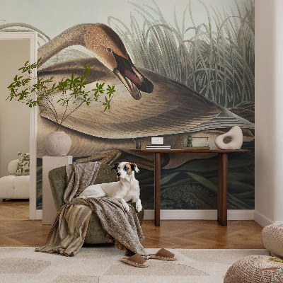 Öntapadós fotótapéta hálószobába Természetes madár