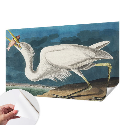 Fotótapéta lányoknak Madár hallal