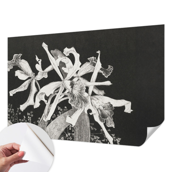 Fotótapéta 3D Orchidea illusztráció