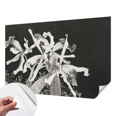 Fotótapéta 3D Orchidea illusztráció