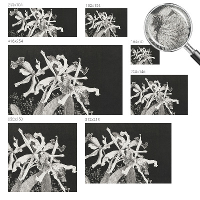 Fotótapéta 3D Orchidea illusztráció
