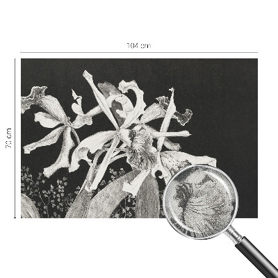 Fotótapéta 3D Orchidea illusztráció