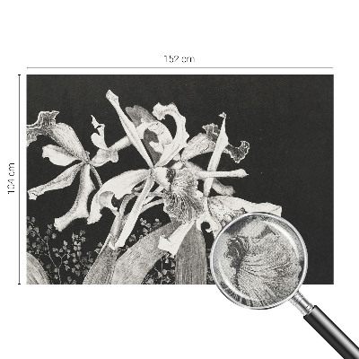 Fotótapéta 3D Orchidea illusztráció