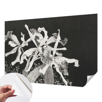 Fotótapéta 3D Orchidea illusztráció