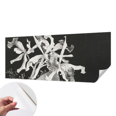 Fotótapéta 3D Orchidea illusztráció