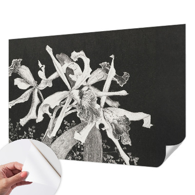 Fotótapéta 3D Orchidea illusztráció
