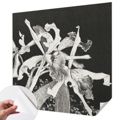 Fotótapéta 3D Orchidea illusztráció