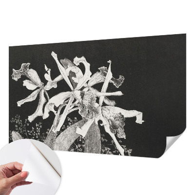 Fotótapéta 3D Orchidea illusztráció